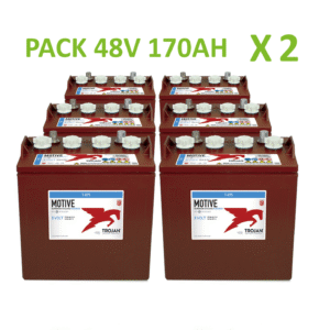 Batterie Trojan T875 8V 170ah lot de 12 batteries